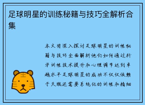 足球明星的训练秘籍与技巧全解析合集